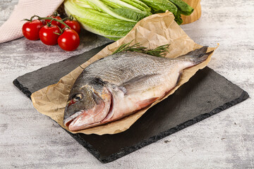 Raw dorada fish served rosemary