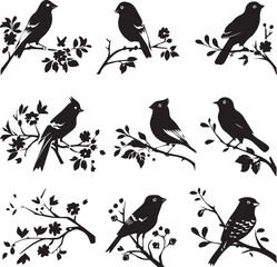 Set of Beautiful Birds on tree branch black Silhouette