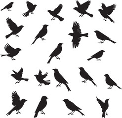 Set of Beautiful Birds black Silhouette