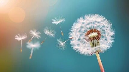   A dandelion drifts in the wind against a blue sky, its soft focus image showcasing a blurred depiction of the golden bloom