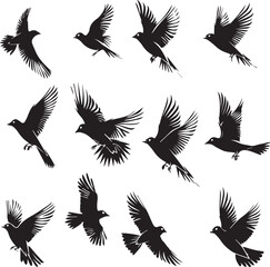 Set of Beautiful Birds black Silhouette