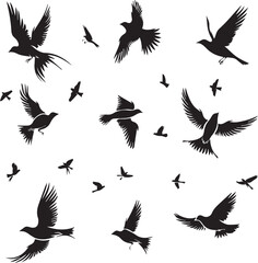 Fototapeta premium Set of Beautiful Birds black Silhouette