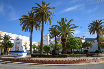 Fototapeta premium Typical amazing market in small village Montellano in Andalusia in Spain with palms.