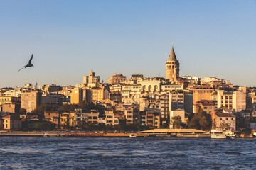 Iconic Galata Tower and Istanbul's skyline at dusk. Seagull flies over the Bosphorus. Istanbul,...