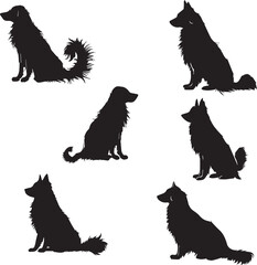 Set of Dogs Silhouettes on white background 