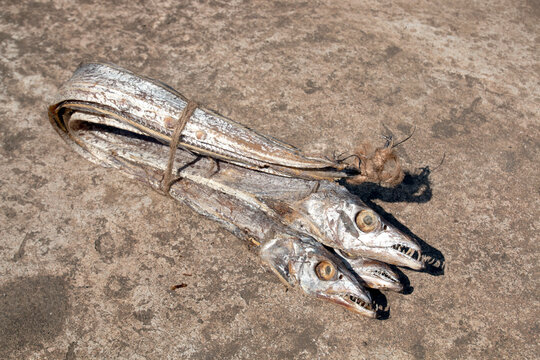 asian ribbon fish or hairtail on rugh background. Dried sea fish from bay of bangle. also called Churi Shutki. popular in chattogram, Bangladesh. looks like knife and it has shiny silver color.
