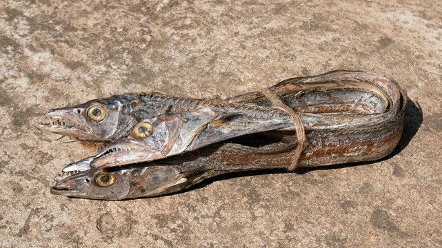 asian ribbon fish or hairtail on rugh background. Dried sea fish from bay of bangle. also called Churi Shutki. popular in chattogram, Bangladesh. looks like knife and it has shiny silver color.