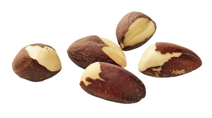 Obraz premium Delicious Brazil Nuts on Transparent Background for Healthy Snacking - Organic Nut Photography for Culinary Designs and Nutrition Concepts.