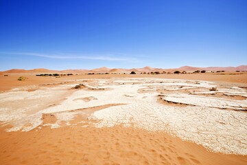 Panoramablick auf Wüstenlandschaft