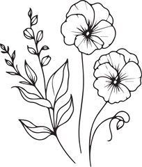 sweet pea vector illustration, beautiful sweet pea  cathartic flower bouquet, hand-drawn coloring pages and book of artistic, blossom sweet pea, engraved ink art