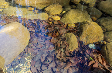 autumn period, walks along the riverbank, panoramic views , hiking trails and relaxation in the mountains.