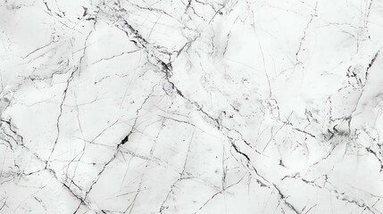 White marble texture with natural black veins. The marble is polished and has a smooth surface.