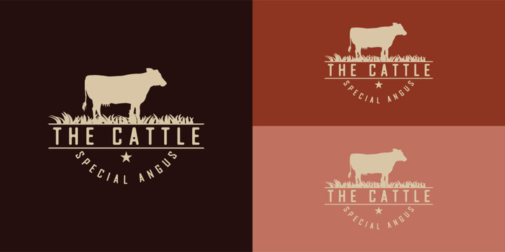 Abstract vintage Angus stamp logo in gold color isolated on multiple red background colors. The logo is suitable for livestock and the cafe bar and restaurant icon logo design inspiration templates.