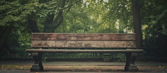 Wooden bench in peaceful park setting - obrazy, fototapety, plakaty