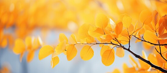 Close-up of sunlit branch with yellow leaves - Powered by Adobe