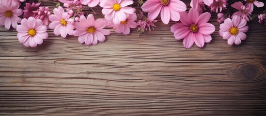 Pink blossoms on wooden space