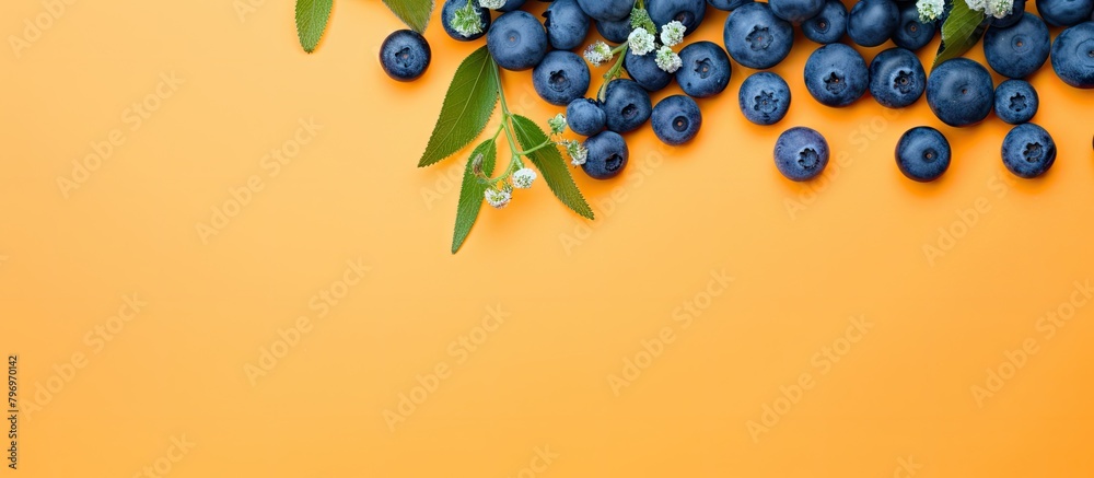 Wall mural Blueberries and leaves on an orange background