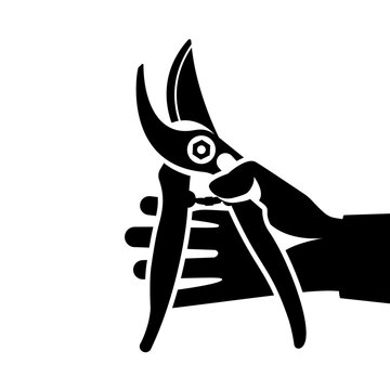 recommend clip art: Hand holding opened secateurs isolated on white background. Black icon pruner in hand. Gardener pruning currant in garden. Scissors for trimming branches. Vector illustration flat design.