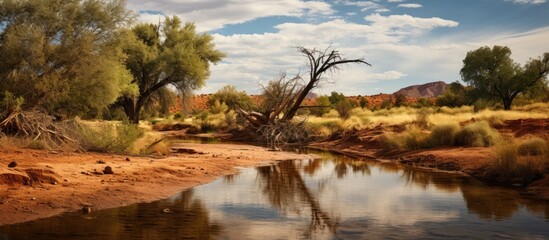 Small river bordered by desert vegetation - obrazy, fototapety, plakaty