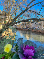 Canal in the center of Strasbourg, Alsace, France. View from the flowers view