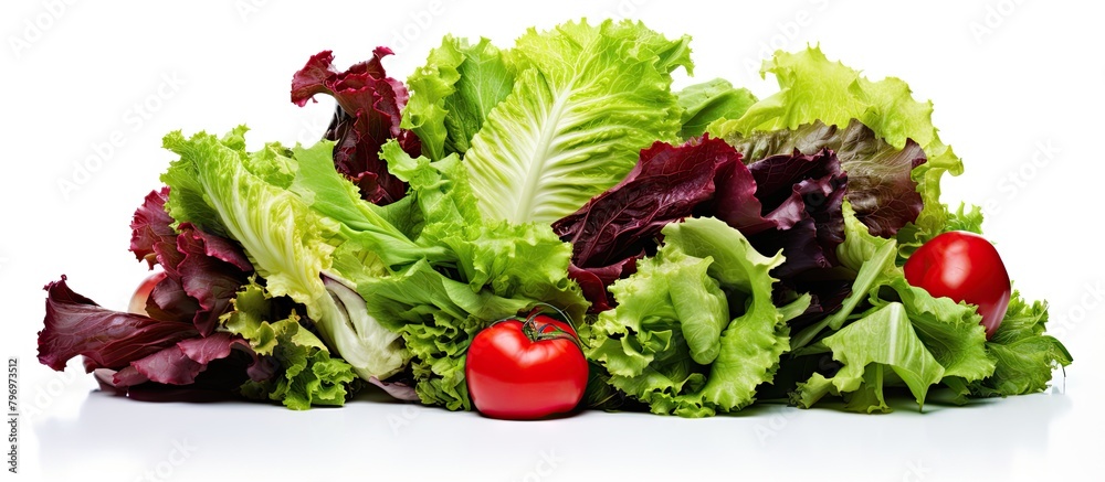 Wall mural Different lettuce and tomatoes on table