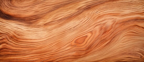 Fototapeta premium Texture of wooden surface up close