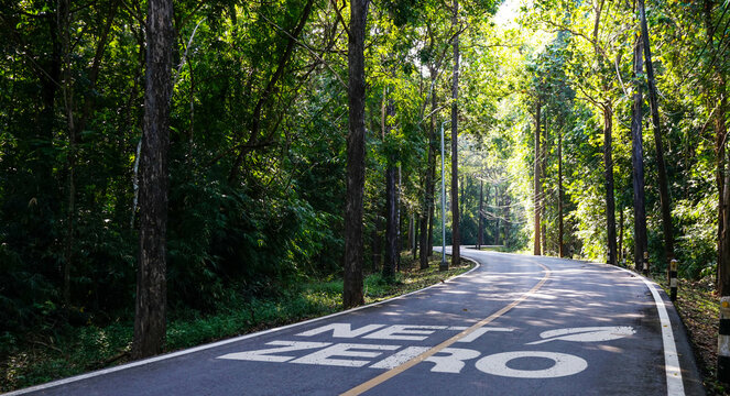 NET ZERO word on curved concrete roadway winds through a green nature park with trees and plants in the forest, Eco environment friendly background, wallpaper for net zero emissions concept.
