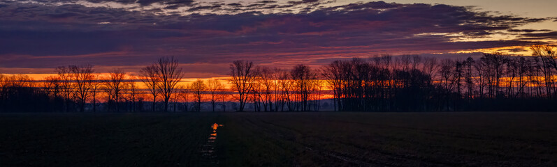 Sonnenaufgang am Feld