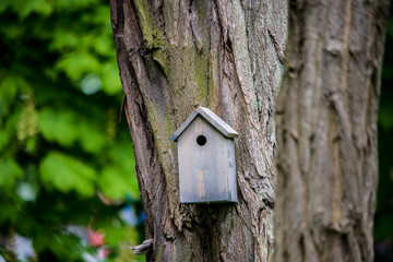 Ein Vogelhäuschen hängt an einem Baum im Park
