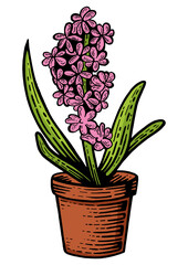 Hyacinth flower color sketch engraving PNG illustration. Scratch board style imitation. Black and white hand drawn image.
