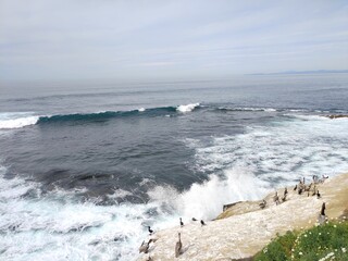 waves crashing on rocks