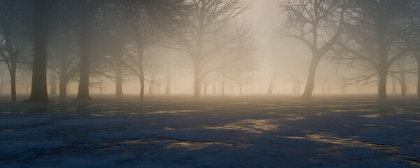 Fototapeta na wymiar Sun shines through trees in foggy forest 3d render illustration