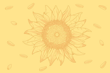 Sunflower and seeds in the form of a pattern. Background for a poster. Advertising for a farm store. Healthy eating for vegetarians. Floral pattern in vector
