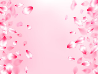 Pink cherry blossom petals isolated