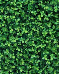 Top view of small green leaves, seamless texture, high resolution, ultra realistic photography in the style of various artists cinematic