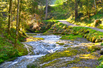 Der Riedbach an den Scheidegger Wasserfällen bei Scheidegg im Landkreis Lindau (Bayern)
