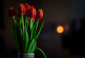 ectlectic tulips composition