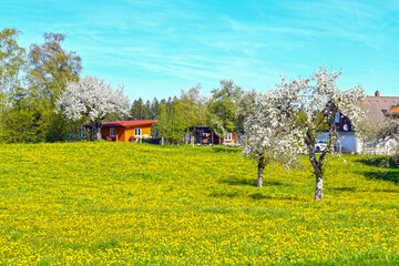 Frühling in Scheidegg im Westallgäu (Bayern)
