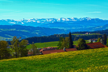 Frühling bei Weiler-Simmerberg im Westallgäu/Bayern 