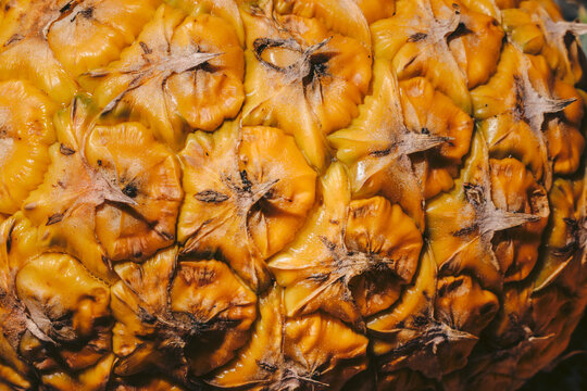 pinaple