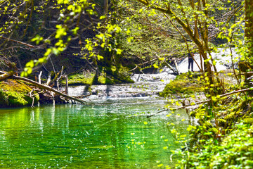 Die Obere Argen im Eistobel im Westallgäu (Bayern)