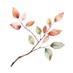 Watercolor drawing of branch with green and orange autumn leaves