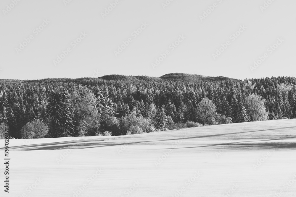 Wall mural Winter time in the cultural landscape of Toten, Norway, in January. Image shot in the area between Kolbu Church and Gardlausstua.