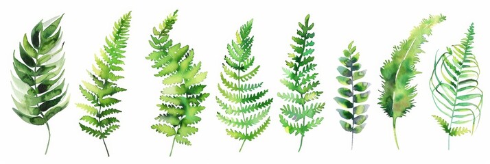 Watercolor Ferns on White Background Generative AI