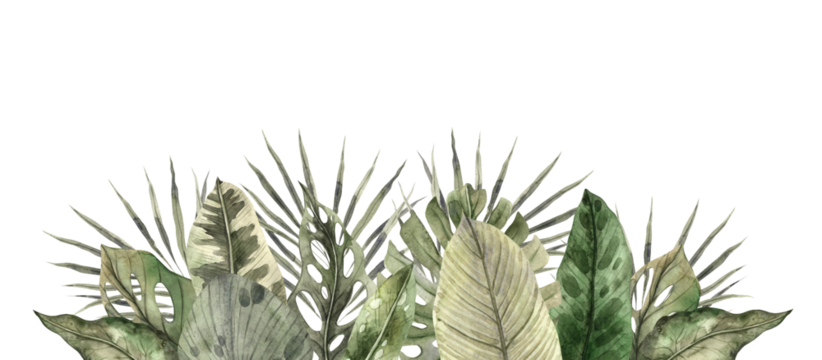 Monstera, calathea, dieffenbachia, palm, banana leaves. Watercolor tropical composition in monochrome style, floral and plant trend. Drawing for invitations, cards, packaging, holidays, posters