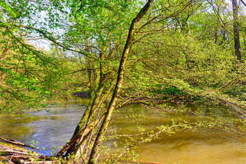 Die Kinzig in der Bulau - Hanau/Hessen