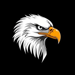 Fototapeta premium Vector clipart illustration portrait of a bald eagle.