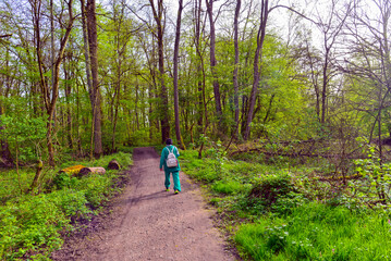 Obraz premium Wanderweg in der Bulau bei Hanau/Hessen