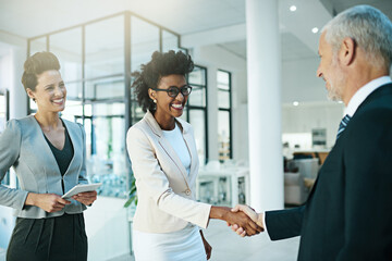 Businessman, woman and handshake for success in office for promotion or partnership deal. Happy,...