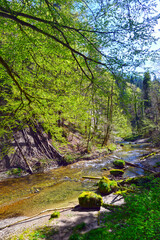 Die Obere Argen im Eistobel im Westallg&auml;u (Bayern)